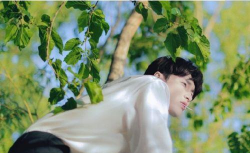 娱乐吃瓜社张艺兴